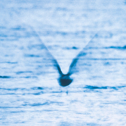 Ryo Fukui: Mellow Dream ( RECORD )