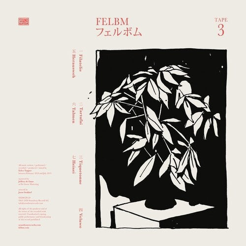 Felbm: Tape 3 / Tape 4 ( RECORD )