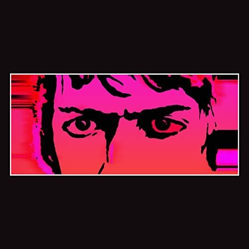 Delicate Steve: Till I Burn Up ( RECORD )