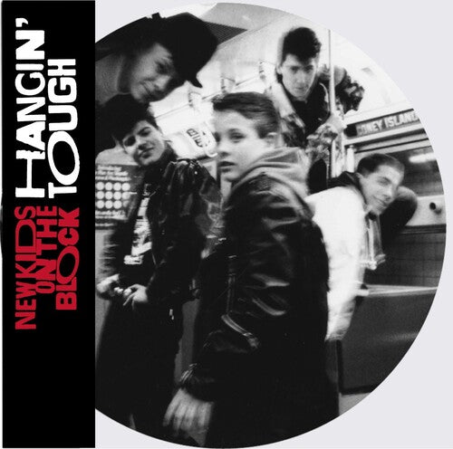 New Kids on the Block / Nkotb: Hangin' Tough (Ltd Picture Disc) ( RECORD )