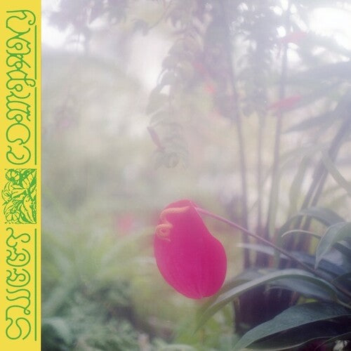 Jabu: Sweet Company ( RECORD )