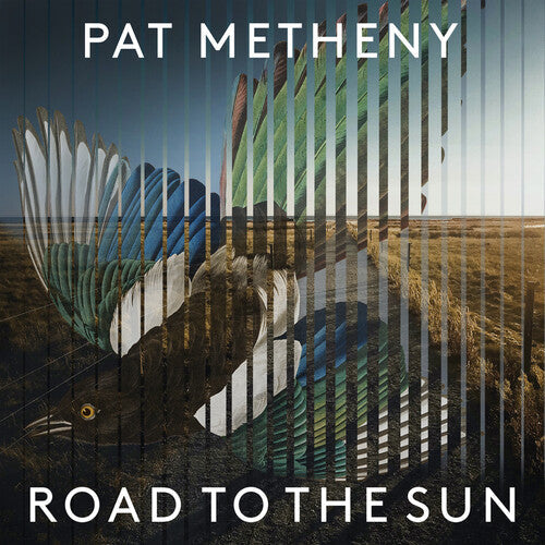 Pat Metheny: Road To The Sun ( RECORD )