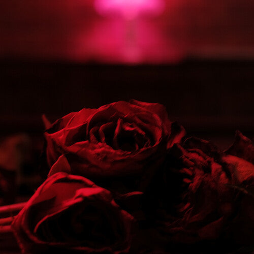 The Paper Kites: Roses ( RECORD )