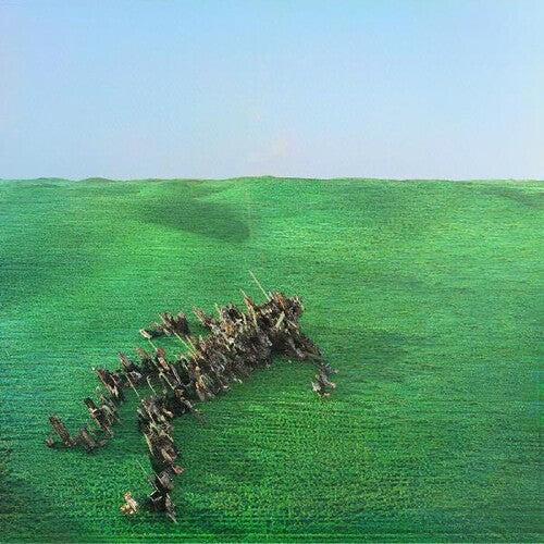 Squid: Bright Green Field ( RECORD )