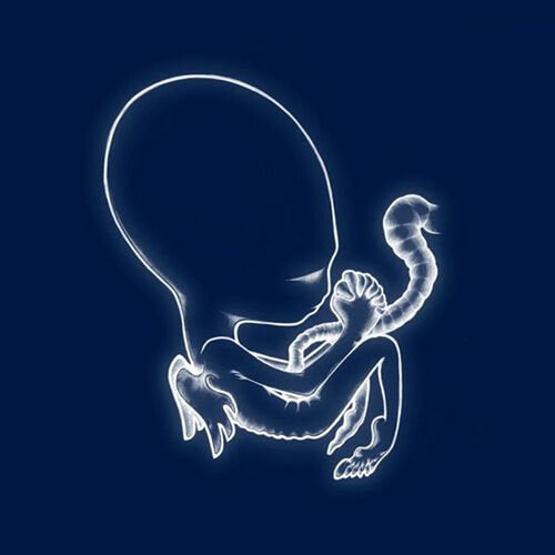 Sigur Ros: Agaetis Byrjun ( RECORD )