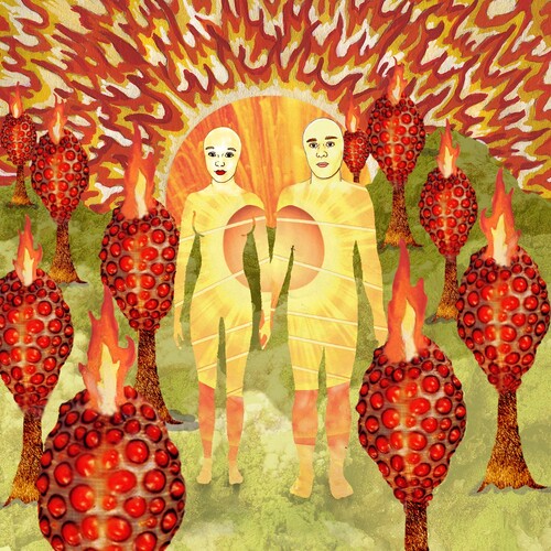 Of Montreal: The Sunlandic Twins ( RECORD )