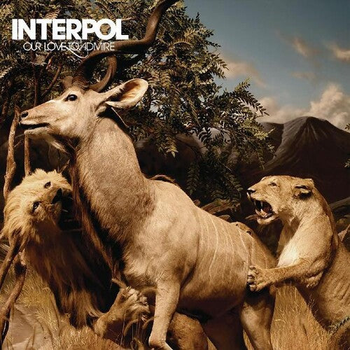 Interpol: Our Love To Admire ( RECORD )