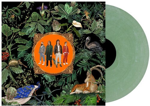Don Broco: Amazing Things - Green Marble ( RECORD )
