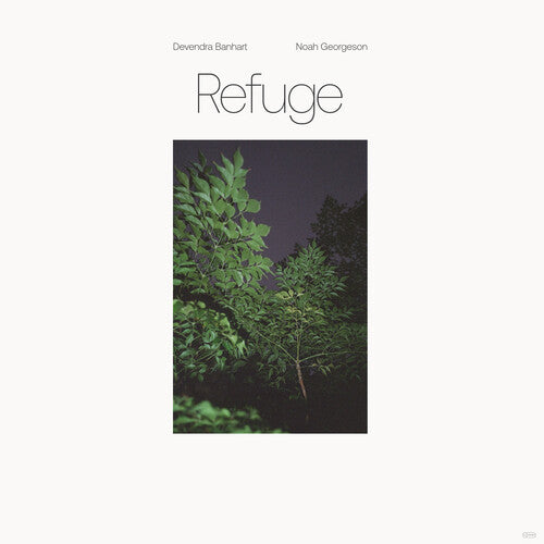 Devendra Banhart: Refuge (Blue Seaglass Wave Translucent Vinyl) ( RECORD )