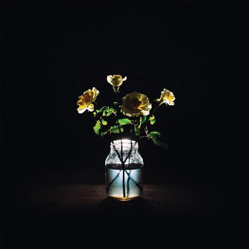 Billy Strings: Renewal ( RECORD )