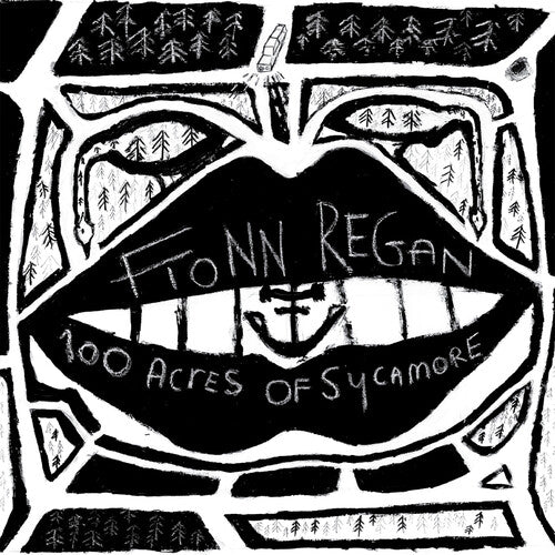 Fionn Regan: 100 Acres Of Sycamore ( RECORD )