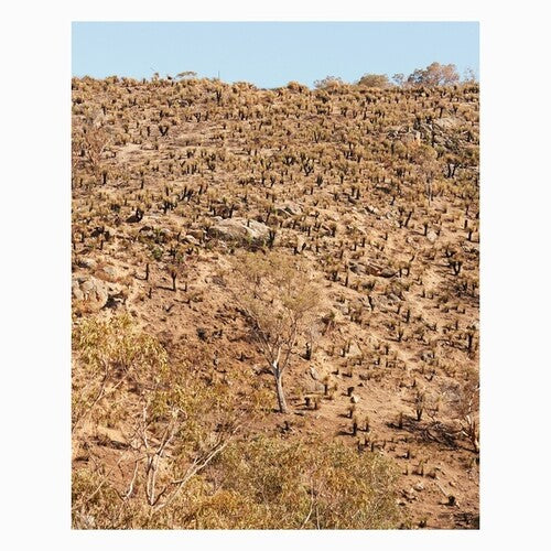 Andrew Pekler: Palimpsests ( RECORD )