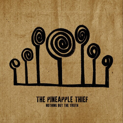 Pineapple Thief: Nothing But The Truth ( RECORD )