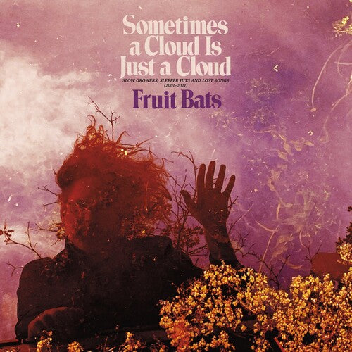 Fruit Bats: Sometimes a Cloud Is Just a Cloud: Slow Growers, Sleeper Hits and Lost Songs (2001–2021) ( RECORD )