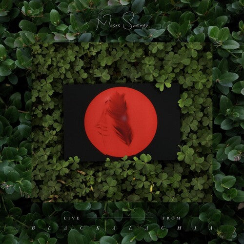 Moses Sumney: Live From Blackalachia (Clear Green) ( RECORD )