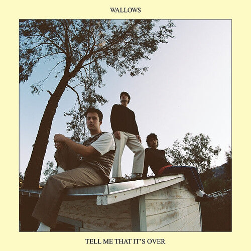Wallows: Tell Me That It's Over ( RECORD )