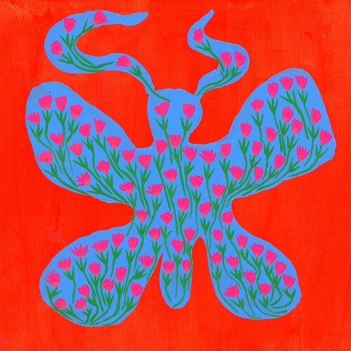 Dehd: Blue Skies ( RECORD )