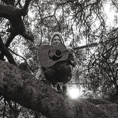 Ty Segall: Hello Hi ( RECORD )
