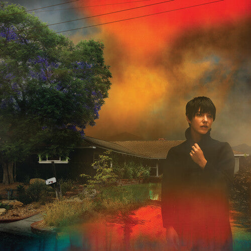 Sharon Van Etten: We've Been Going About This All Wrong - Custard ( RECORD )