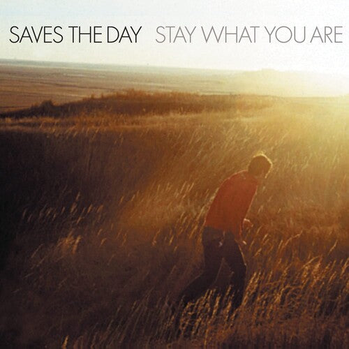 Saves the Day: Stay What You Are ( RECORD )