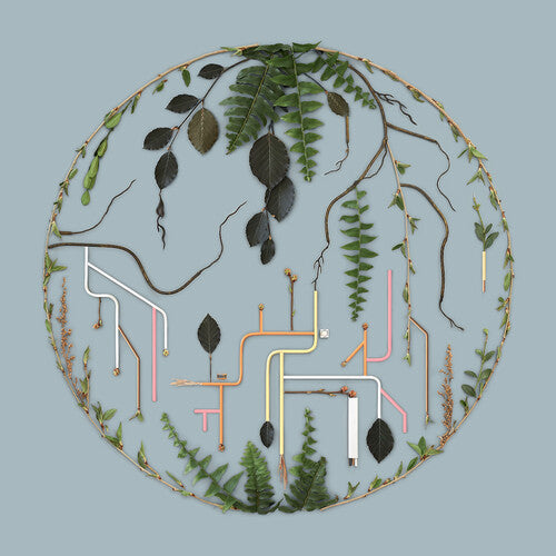 El Buho: Tributaries Vol. 2 ( RECORD )