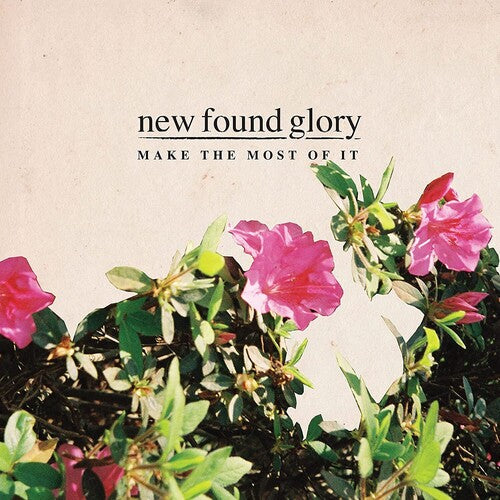 New Found Glory: Make The Most Of It ( RECORD )