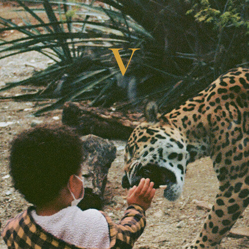 Unknown Mortal Orchestra: V ( RECORD )