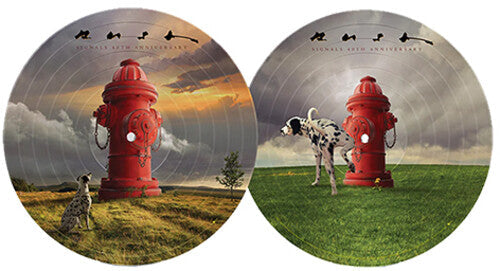 Rush: Signals (40th Anniversary) ( RECORD )