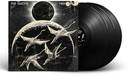 Ducks: High Flyin ( RECORD )