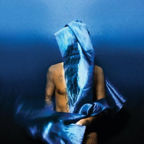 Devendra Banhart: Flying Wig ( RECORD )