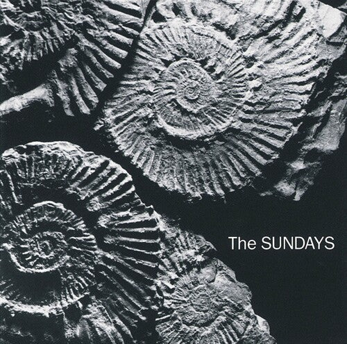 The Sundays: Reading, Writing, And Arithmetic ( RECORD )