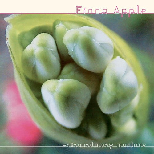 Fiona Apple: Extraordinary Machine ( RECORD )