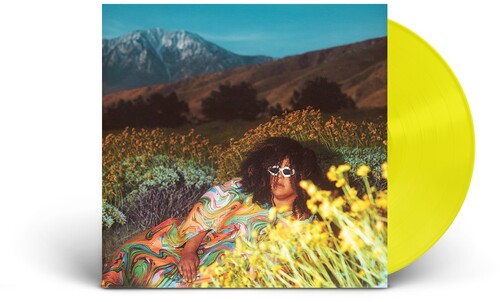 Brittany Howard: What Now ( RECORD )