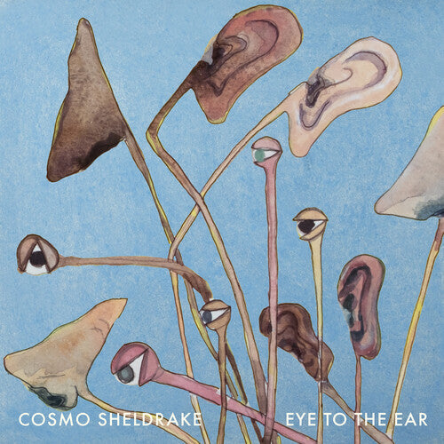 Cosmo Sheldrake: Eye to the Ear ( RECORD )