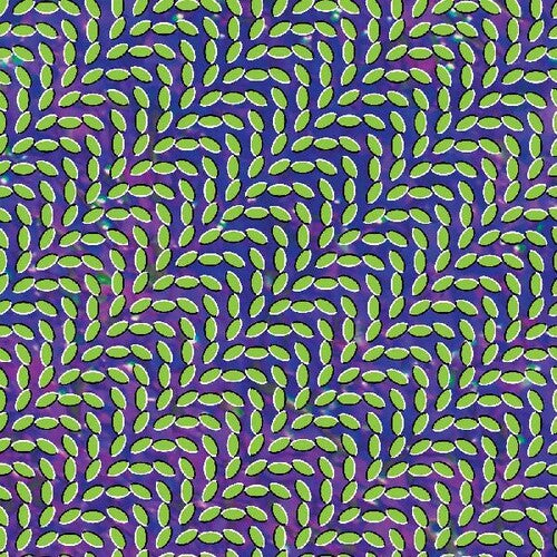 Animal Collective: Merriweather Post Pavilion ( RECORD )