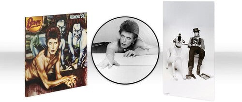 David Bowie: Diamond Dogs (50th Anniversary Picture Disc) ( RECORD )