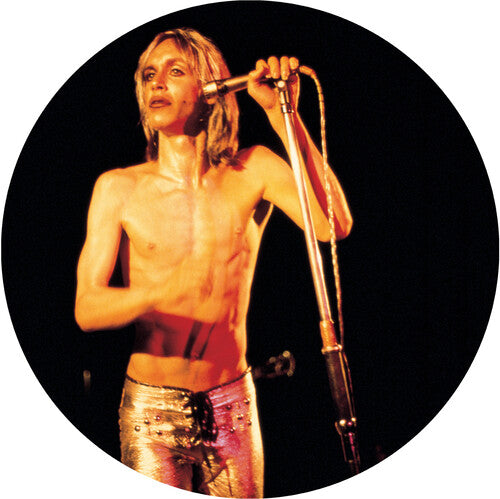 Iggy & The Stooges: More Power ( RECORD )