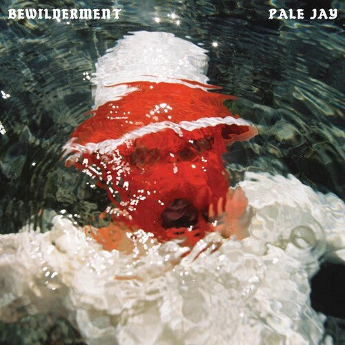 Pale Jay: Bewilderment ( RECORD )