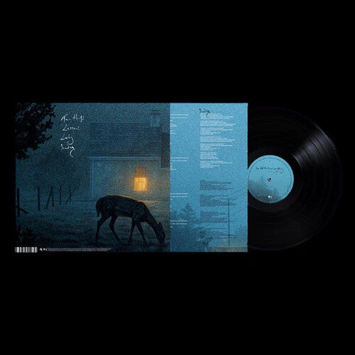 Dermot Kennedy: I've Told The Trees Everything ( RECORD )