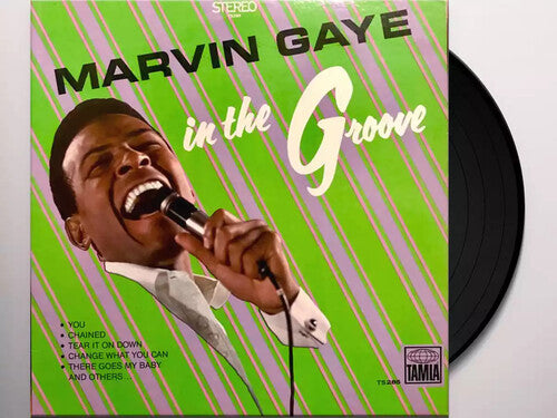 Marvin Gaye: In The Groove ( RECORD )