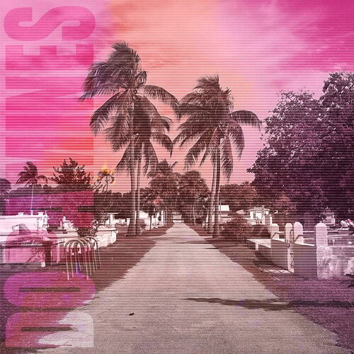 The Dopamines: 80/20 ( RECORD )