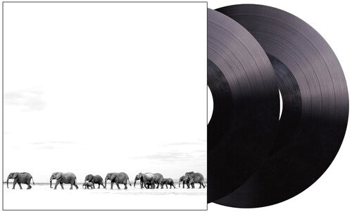 Dave Matthews: Where Are You Going: The Singles ( RECORD )