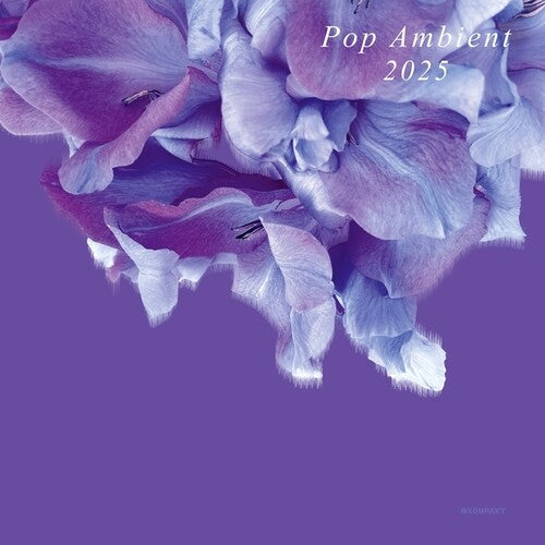 Various Artists: Pop Ambient 2025 ( RECORD )
