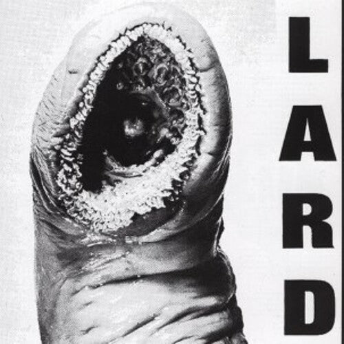 Lard: Power Of Lard - White ( RECORD )