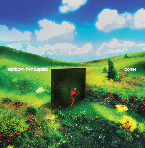 Rainbow Kitten Surprise: bones (Black Vinyl) ( RECORD )