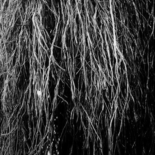 Eraldo Bernocchi: Nocturnal Rainforest ( RECORD )