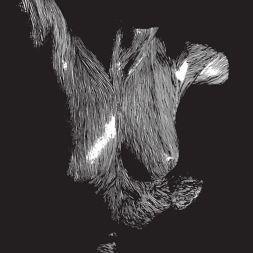 Oceansize: Self Preserved While The Bodies Float Up ( RECORD )
