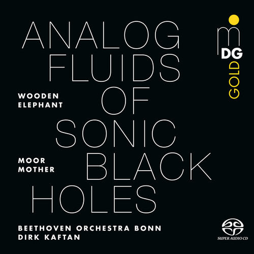 Moor Mother: Analog Fluids of Sonic Black Holes ( RECORD )