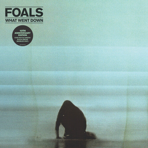 Foals: What Went Down ( RECORD )