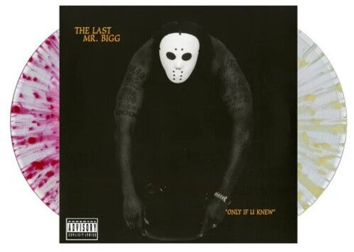 Last Mr Bigg: Only If U Knew ( RECORD )